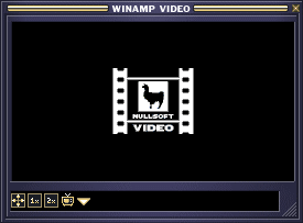 The video window